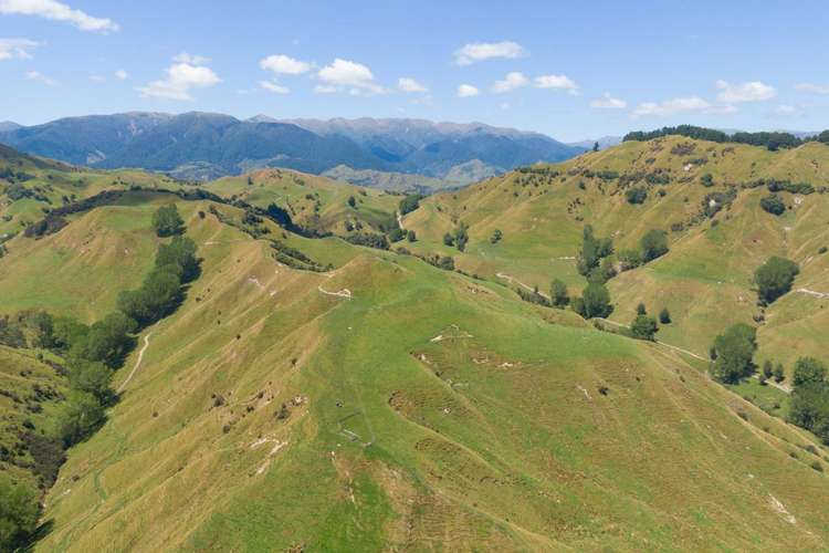 131 Rangitane Road Mangaweka_6