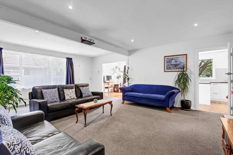 21 Brabourne Street Hillsborough_5