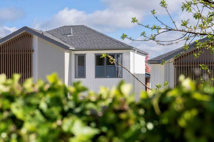 Lot 1 & 2/14 Mason Street New Lynn_10