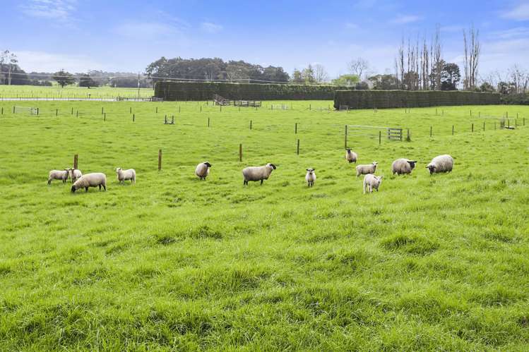 124 Horrell Road Morrinsville_15