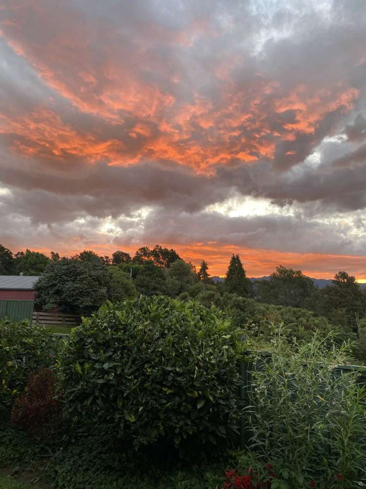 18 Donegal Place Katikati_20