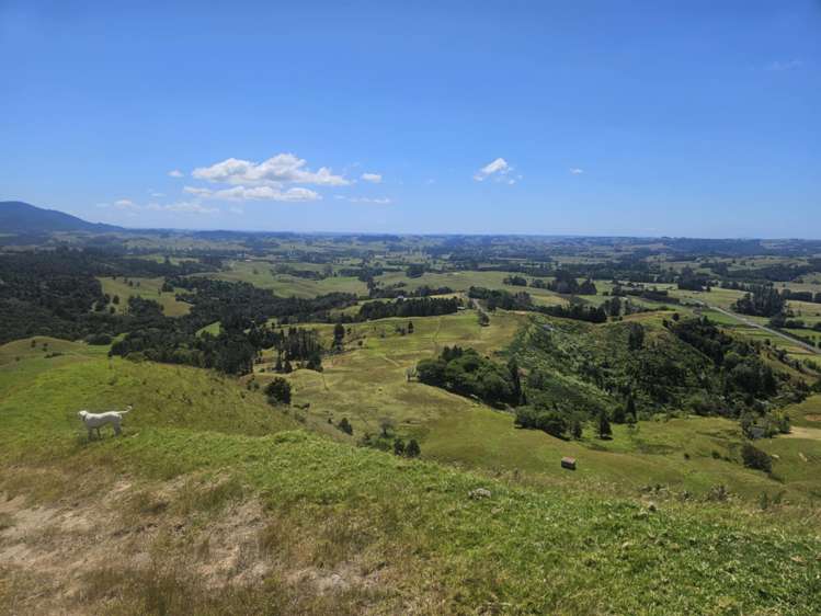 160 Te Rore Road Kaitaia_9