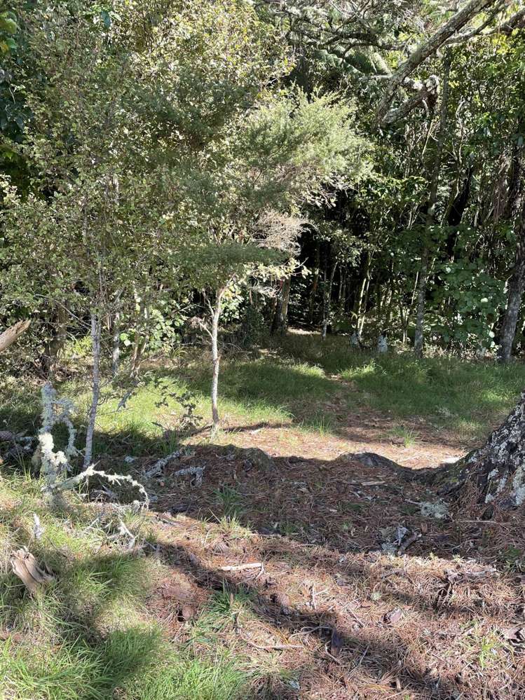 385 Drury Hills Road Drury_7