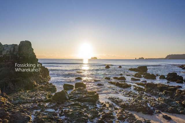 26 Powhiri Place Wharekaho Simpsons Beach Whitianga_1