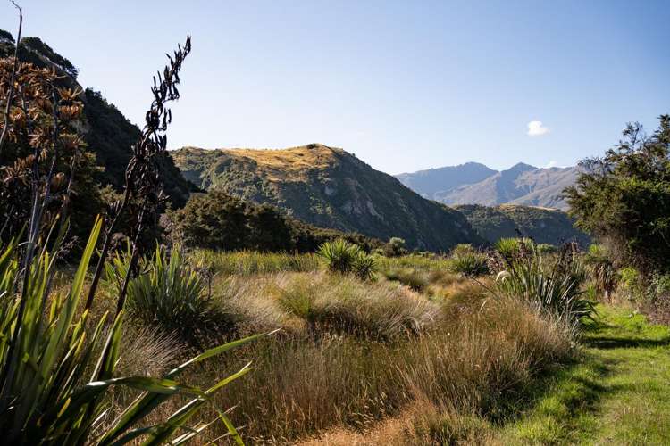 16 Emerald Bluffs Lane Glendhu Bay_9