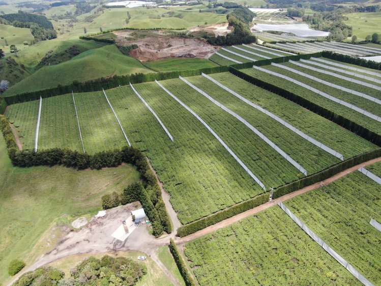 80 Roydon Downs Road Paengaroa_7