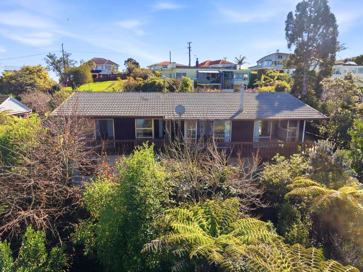 4a Cape Horn Road Hillsborough_24