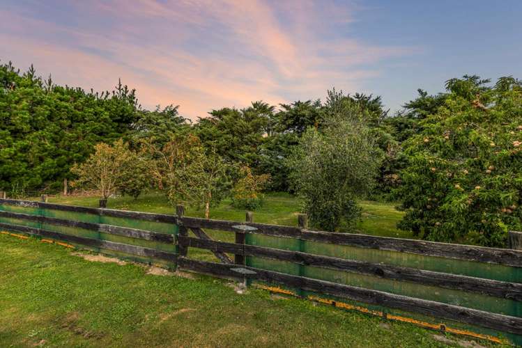 260 Kiri Kiri Road Burnt Hill_30