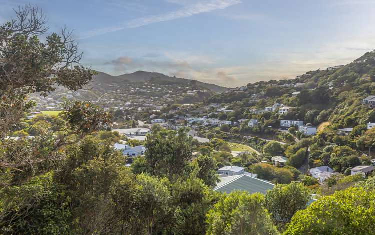 27 Saint Albans Avenue Karori_22