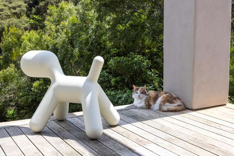 276A Smyth Road Warkworth_27