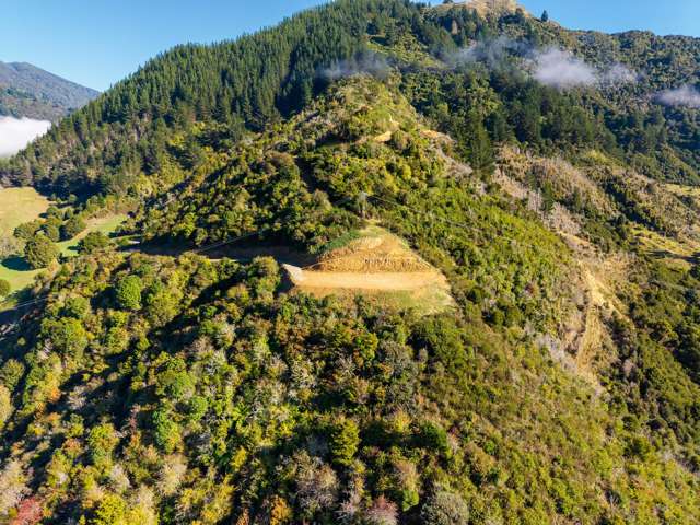 State Highway 6 Havelock_3