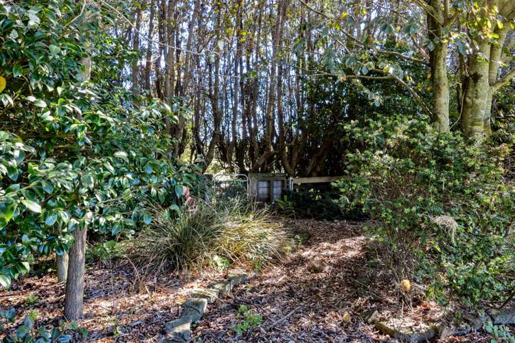 1170 A South Road Manaia_41