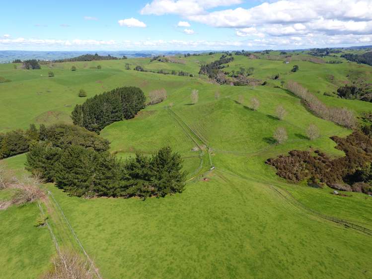481 Honikiwi Road RD3 Otorohanga_25