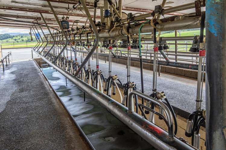 45 Jack Road Pakotai_6