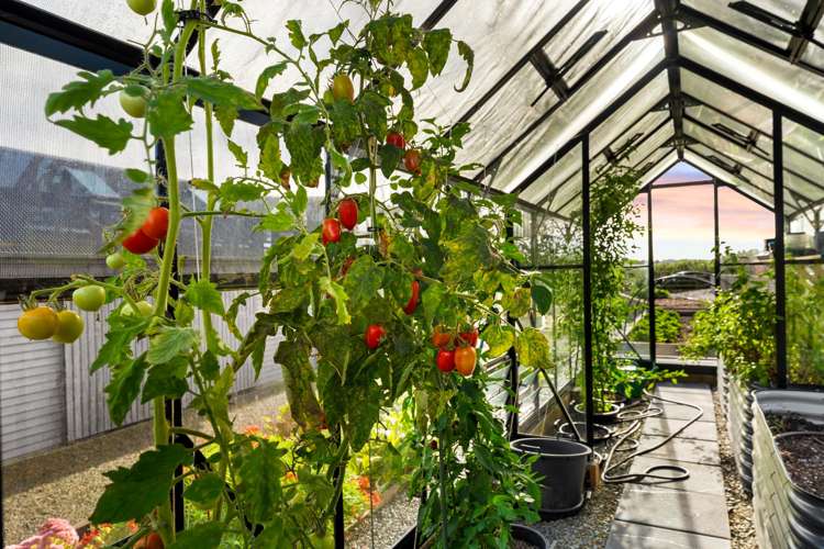 79 Sharp Road Matakana_35