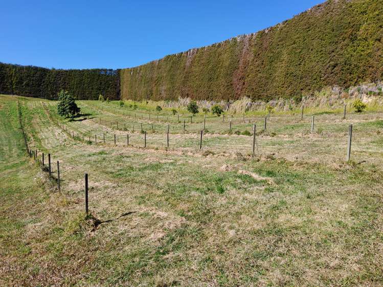 328 Maungarangi Road Paengaroa_17