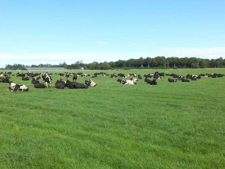 3 Limehills Browns Road Winton Surrounds_16