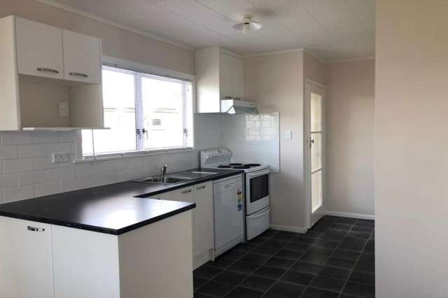 15 Rochester Street Tamatea_1