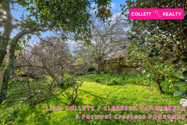 5 Parawai Crescent Ponsonby_21