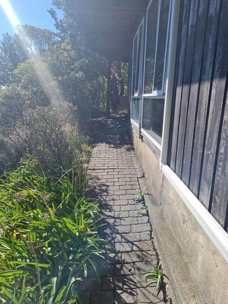 39B Robieson Street Roseneath_10