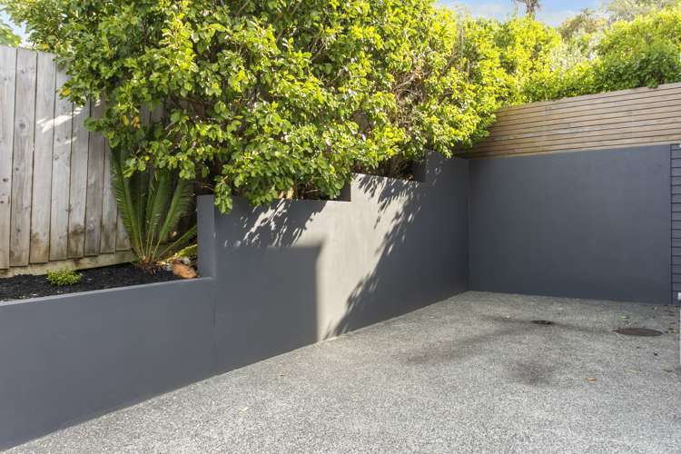 8/8 Wilk Lane Browns Bay_14