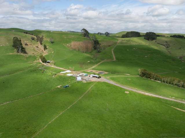 652 Tainui Road Morrinsville_1