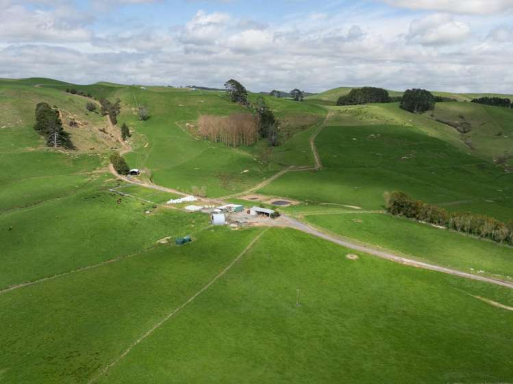 652 Tainui Road Morrinsville_1
