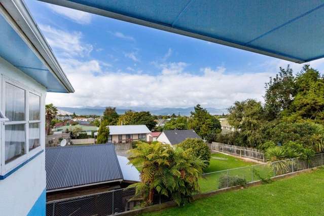 25 Chester Street Levin_3