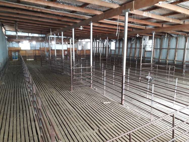 422 Earthquake Road Duntroon_10