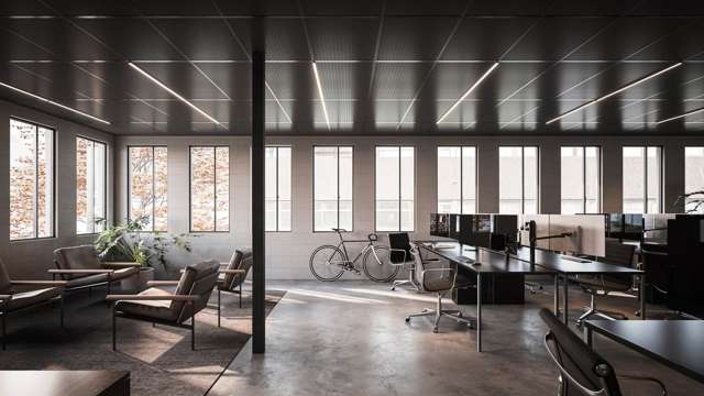 10 Heather Street Parnell_4