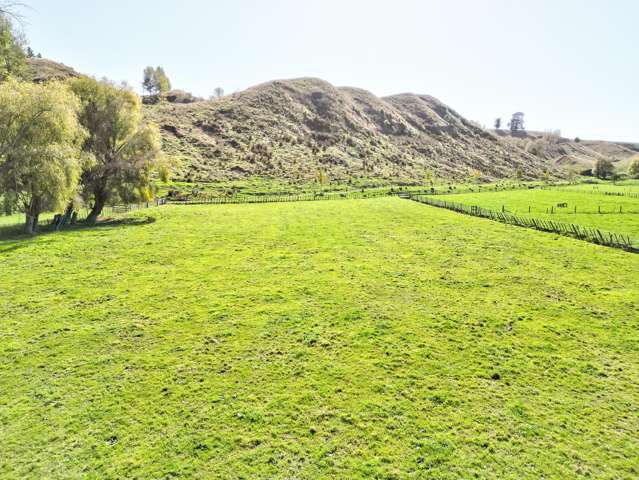 45 Flemington Road Aramoho_3