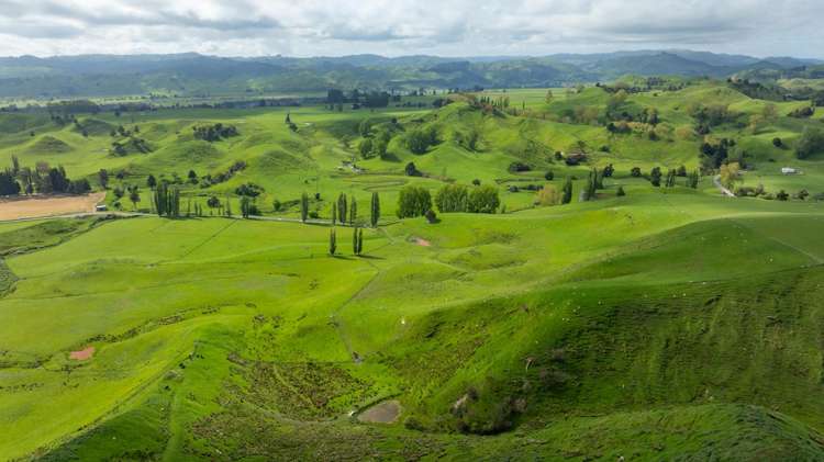 1163 Mangamako Road Ohingaiti_32