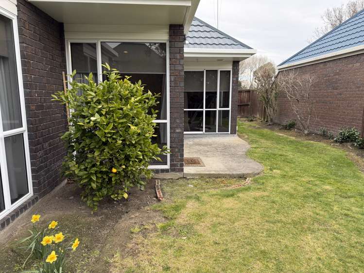 A/8 Wardour Mews Avonhead_10