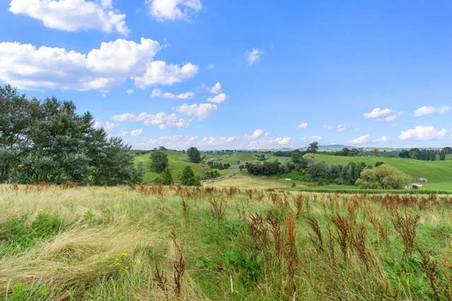 Lot Lot 4 Tapapa Road West Tirau_2