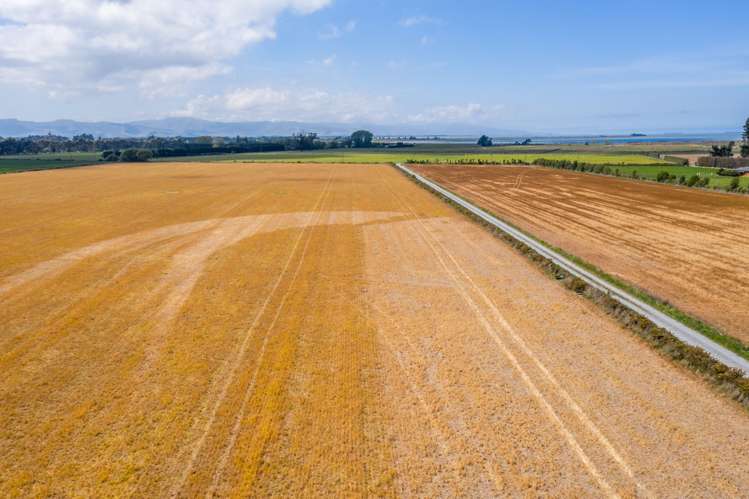 Selwyn Lake Road Leeston_11