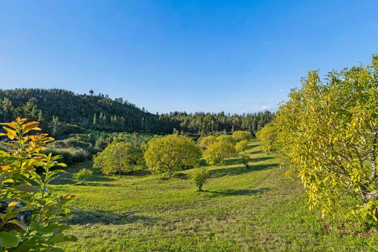 151B SH25 Tairua-Whitianga Hwy Tairua_11