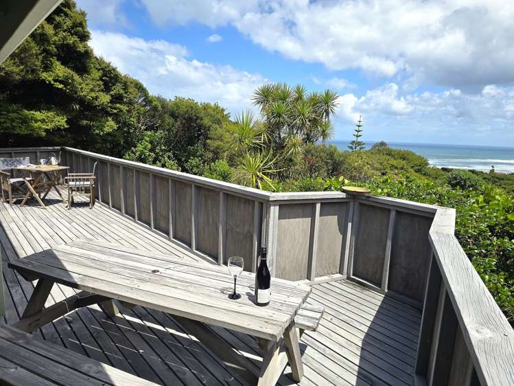 117 Seaview Road Piha_1