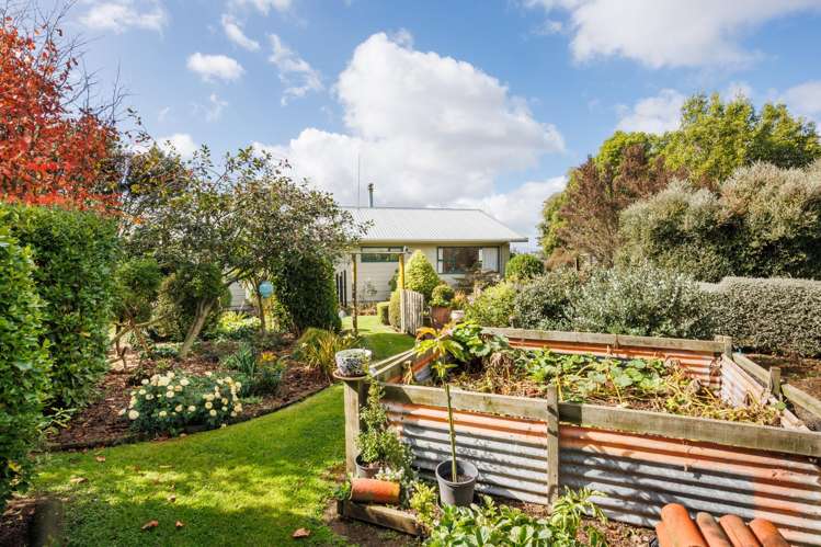 1233 Makino Road Halcombe_23