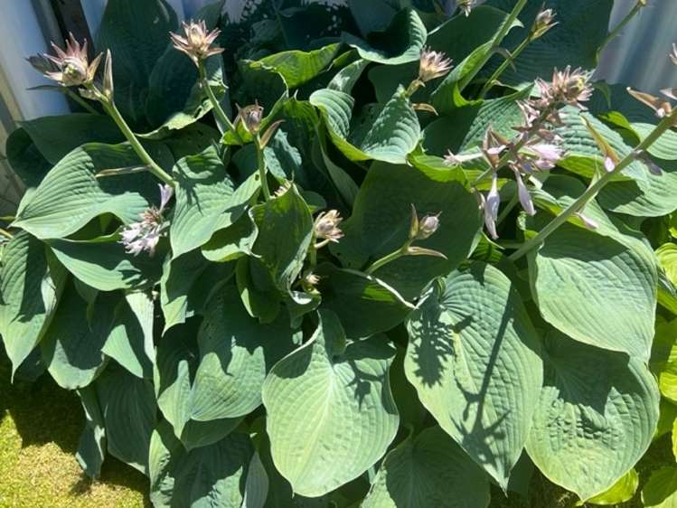 92 Reservoir Street Putaruru_22