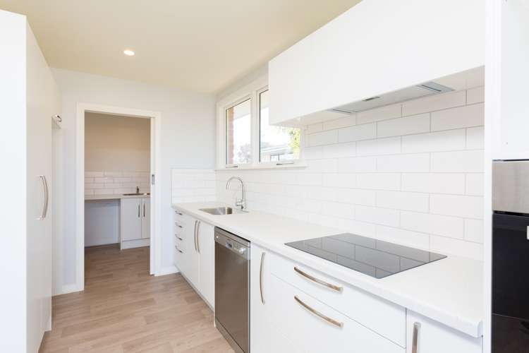 20 Denise Crescent Hornby_20