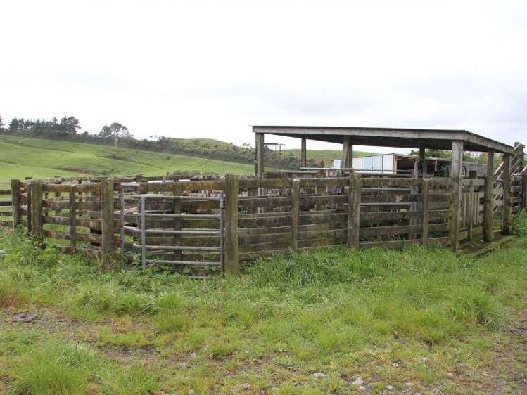 382 Awai Road Tarurutangi_15