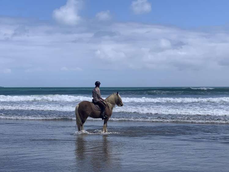25 Tasman Heights Ahipara_41