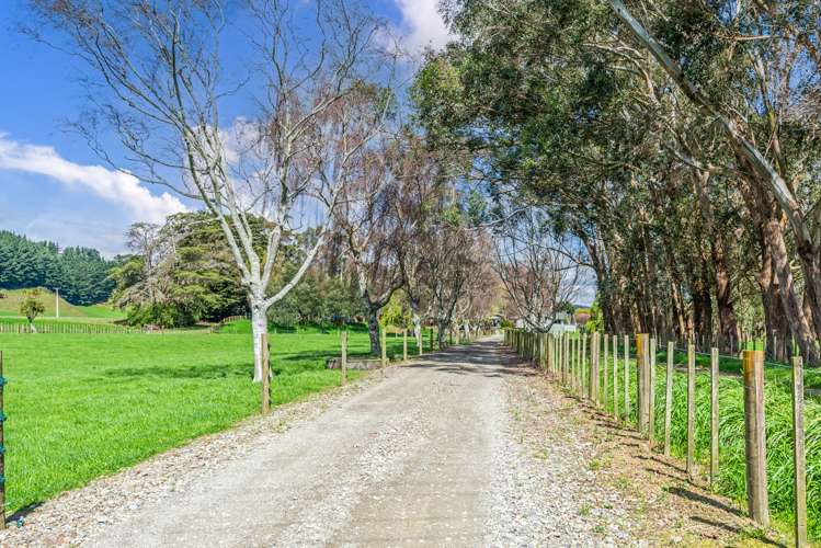 675 Ruawhata Road Pahiatua_19