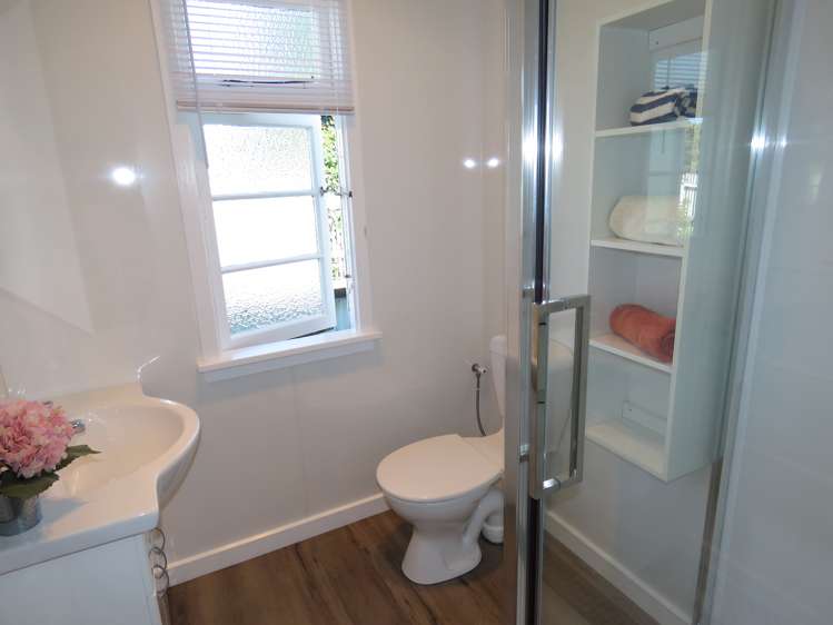 16 Clark Street Allenton_6