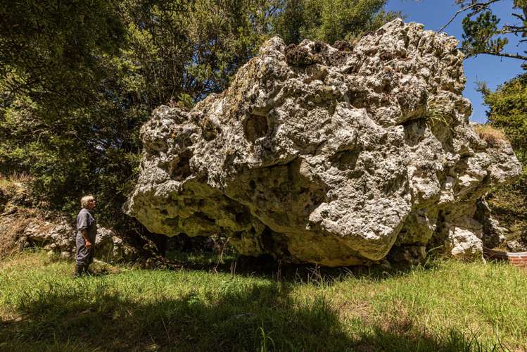 731 Puhipuhi Road Whakapara_46