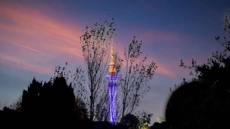 33a Entrican Avenue Remuera_30