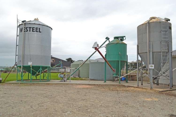 139 Phar Lap Road Seadown_7