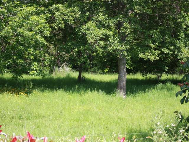 142 Gualter Road Geraldine_1