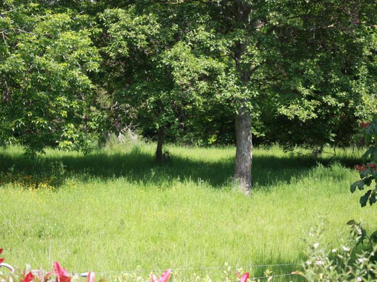 142 Gualter Road Geraldine_1