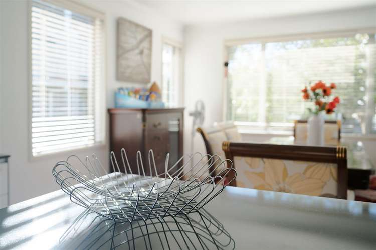 8a Kenmure Avenue Forrest Hill_7